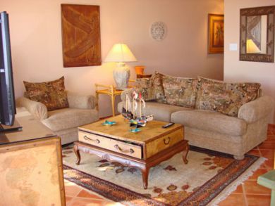 Living Area with TV